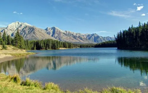自动化高精度